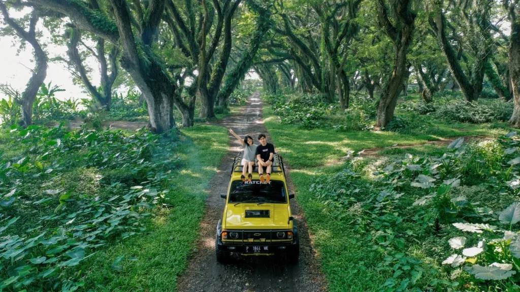 Hutan De-Djawatan Banyuwangi